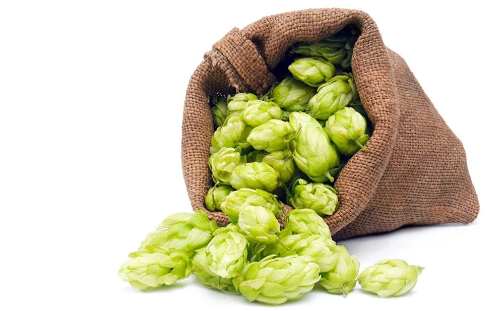 hop extract