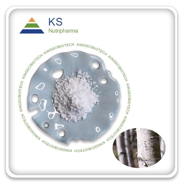 Beržo žievės ekstraktas Betulinas