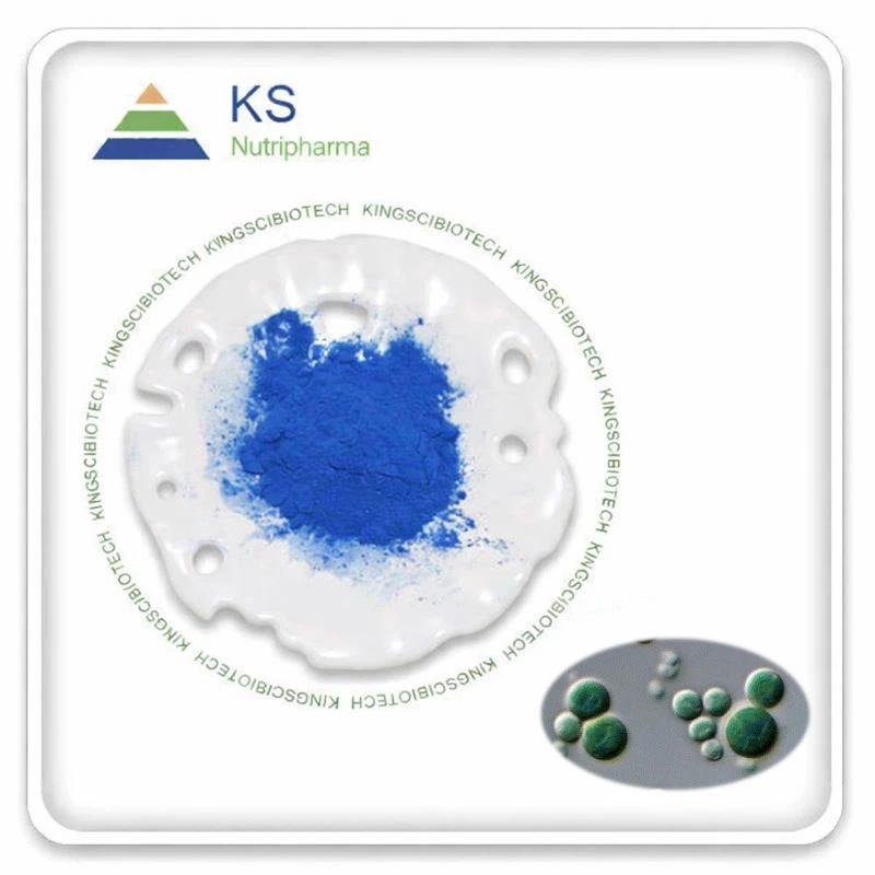 Galdieria ekstrakto milteliai