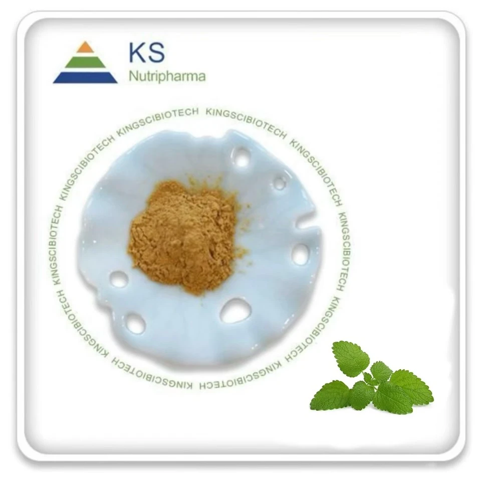 Melissa officinalis ekstrakto milteliai